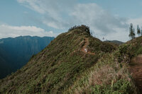 hawaii landscape