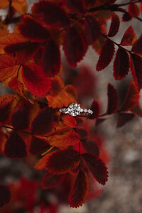 beautiful engagement ring captured with the stunning fall colours, with bright red leaves