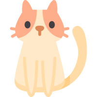 cat (1)
