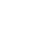 data sci 101 logo