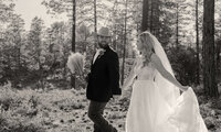 Romantic outdoor weddings and engagements captured with a fine art storytelling approach.