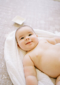 The Bunny Hive Home Page