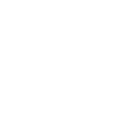 wordpress logo