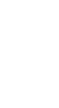 rhody ray logo