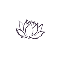 Hand drawn illustration of a lotus flower.