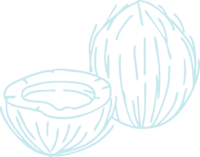 A light blue coconut illustration, bringing a refreshing and playful twist to a tropical classic.