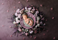 newborn baby surrounded by purple florals in Hamilton, ON photography studio