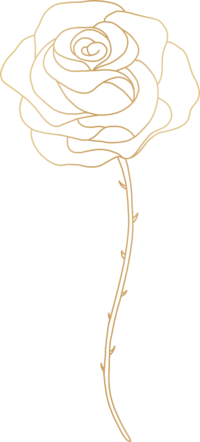 long stem rose 1
