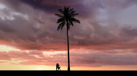 A breathtaking engagement session featuring a couple sharing a romantic moment on a Hawaiian beach at sunset.