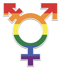 ransgender pride symbol – inclusive, gender-affirming therapy with Jessie Withers in Los Angeles, CA