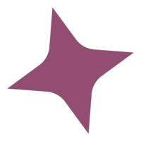 Purple 4 point star icon