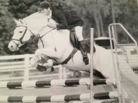 Connemara Stallion Jumping