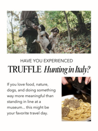truffle hunting tours in italy