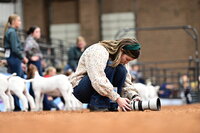 Livestock photographer