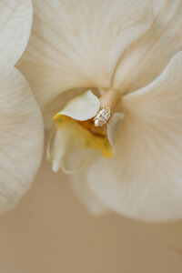 An image of a wedding ring, draped over the petal of the bride's floral bouquet
