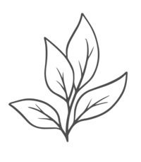 a line art image of four leaves