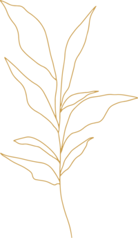 Gold illustration of leaves