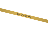 Gold Metallic coming soon banner for chartering services in Reno