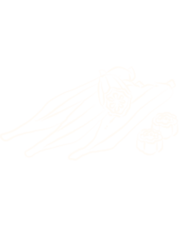 Illustration of organic produce