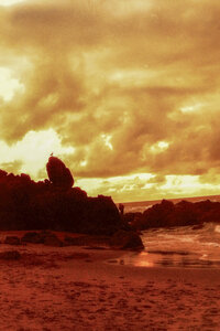 PhxHaramanOregon-2