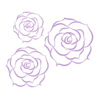 Illustration of 3 roses