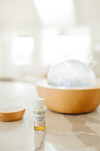 Wendy - non toxic living coach
