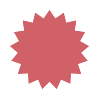 Star icon