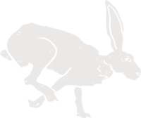 Illustration of white rabbit landing a jump