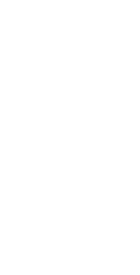 white palm tree illustration