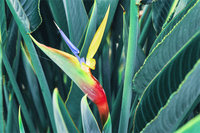 desktop_g_image 6