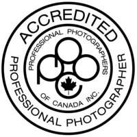 accredited photographer