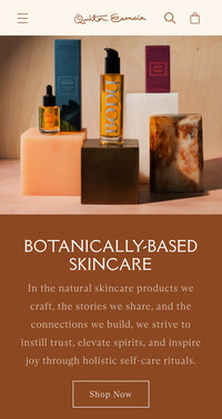 health and wellness brand and website design ecommerce, women business, entrepreneur