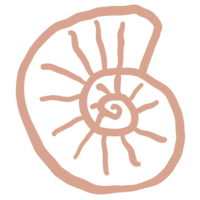 Salmon colored hand-drawn seashell illustration