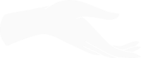 White hand branding icon pointing to next.