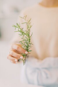 Woman holding a rosemary sprig