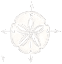 White Sand Dollar Compas