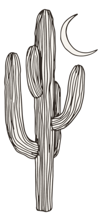 hand illustrated cactus and moon