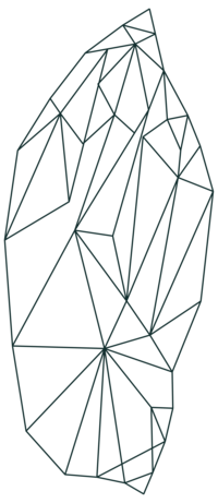 DITC Logo_Geometric Chrysalis