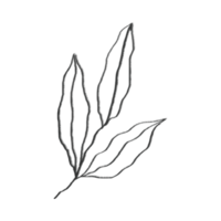 Green Vintage Olive Oil Logo (2)