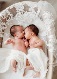 Don't Blink Photography Newborn Twins session