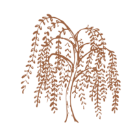 willow tree illustration in rust return to eden hr consulting