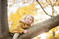 A little girl sits in a tree with yellow autumn leaves glowing in the sunshine behind her. She wears a yellow coat for her family photo shoot in Teddington.
