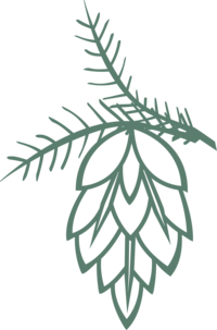 illustration of pinecone icon