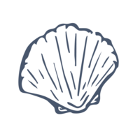 Navy, handdrawn shell icon