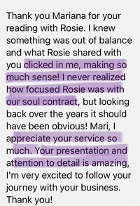 animal communication testimonial