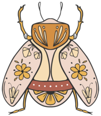 beetle illustration