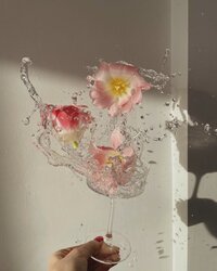Water and flowers splashing out of a clear glass