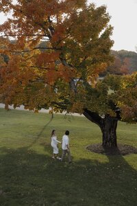 fall engagement photoshoot in Michigan