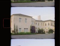 Super 8 Wedding Florida -3