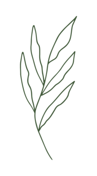 Spell Events web element floral line art